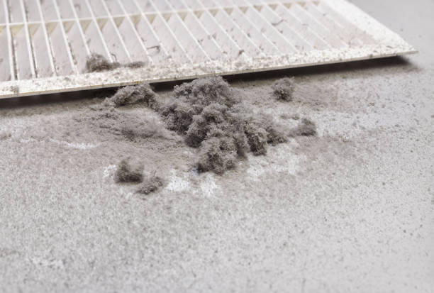 Best Air Duct Cleaning Near Me  in Barrackville, WV