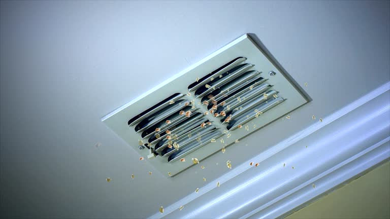 Best Residential Air Duct Cleaning  in Barrackville, WV