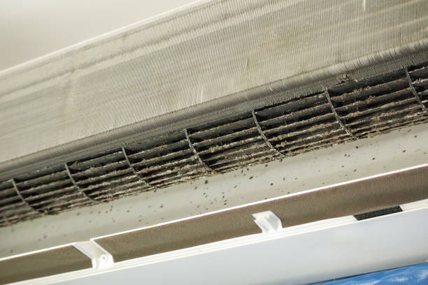 Best Ductwork Cleaning Services  in Barrackville, WV
