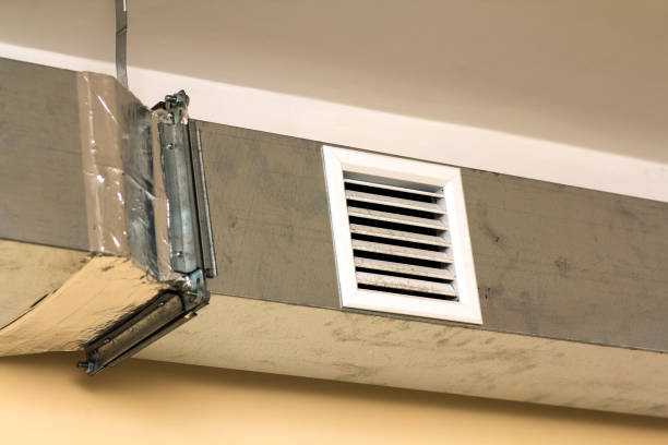 Best Air Duct Sanitizing Services  in Barrackville, WV